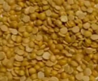 ID: 607; Description: SATYA 